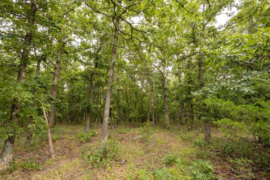 0000 Tract 2 97 Highway Property Photo 28