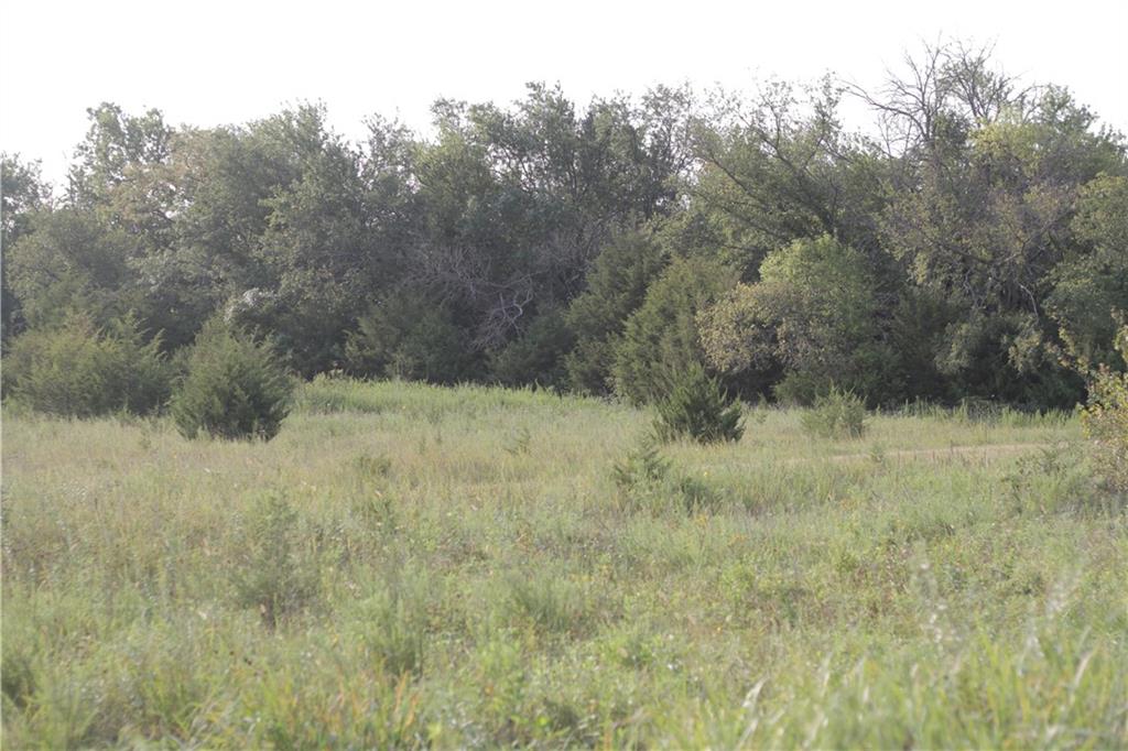 000 Texas Road Property Photo 33
