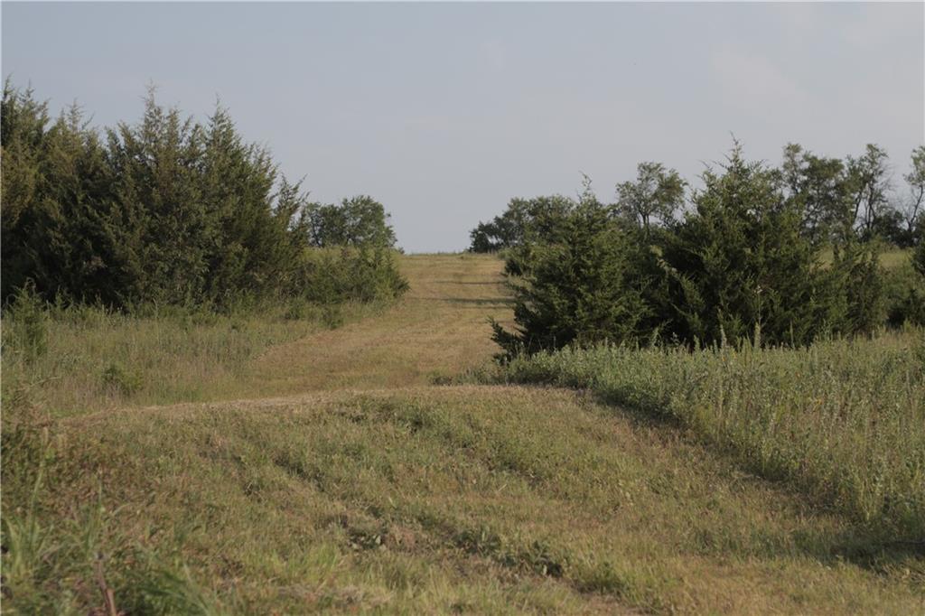 000 Texas Road Property Photo 37