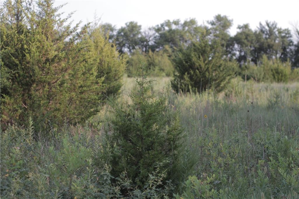 000 Texas Road Property Photo 43