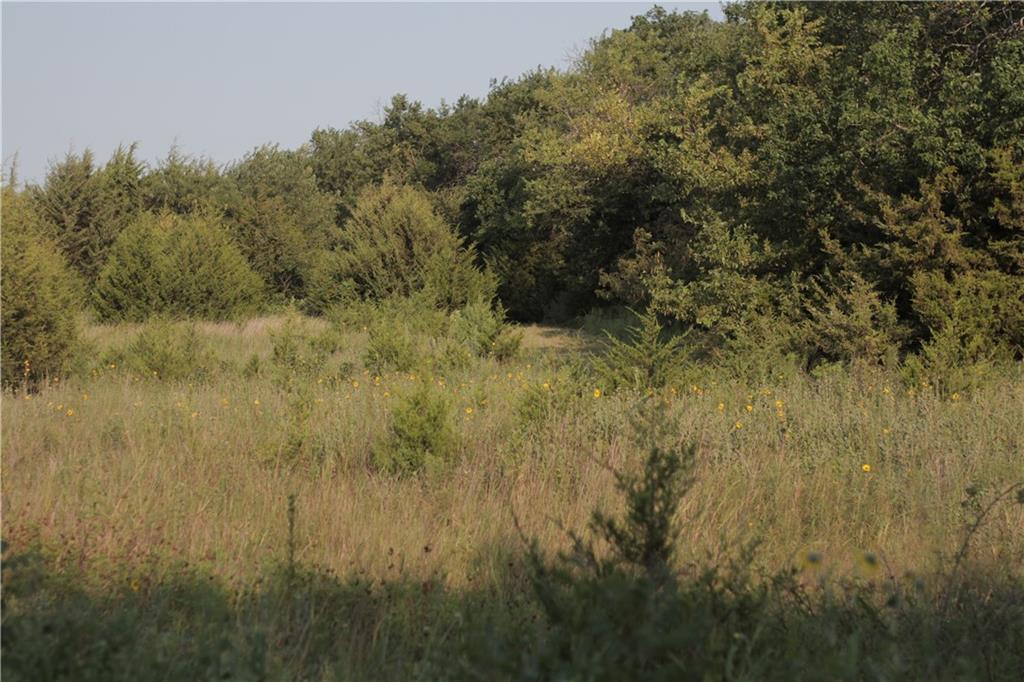 000 Texas Road Property Photo 45