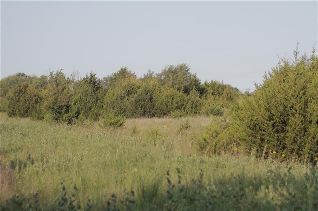 000 Texas Road Property Photo 46