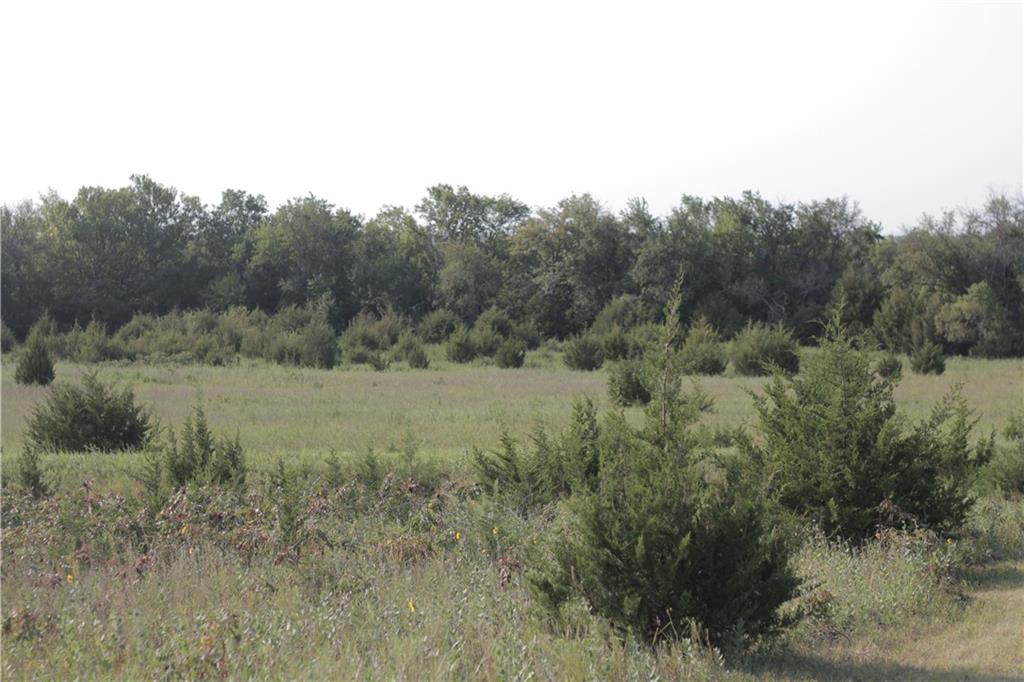 000 Texas Road Property Photo 49