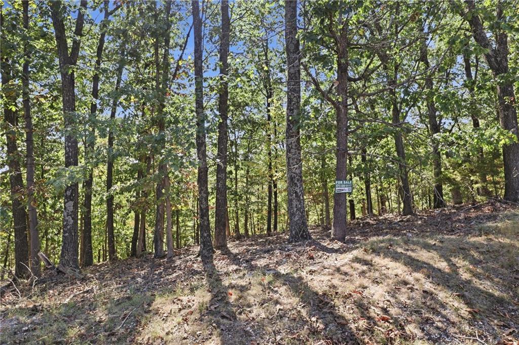 Lot 156 Carol Road Property Photo 10