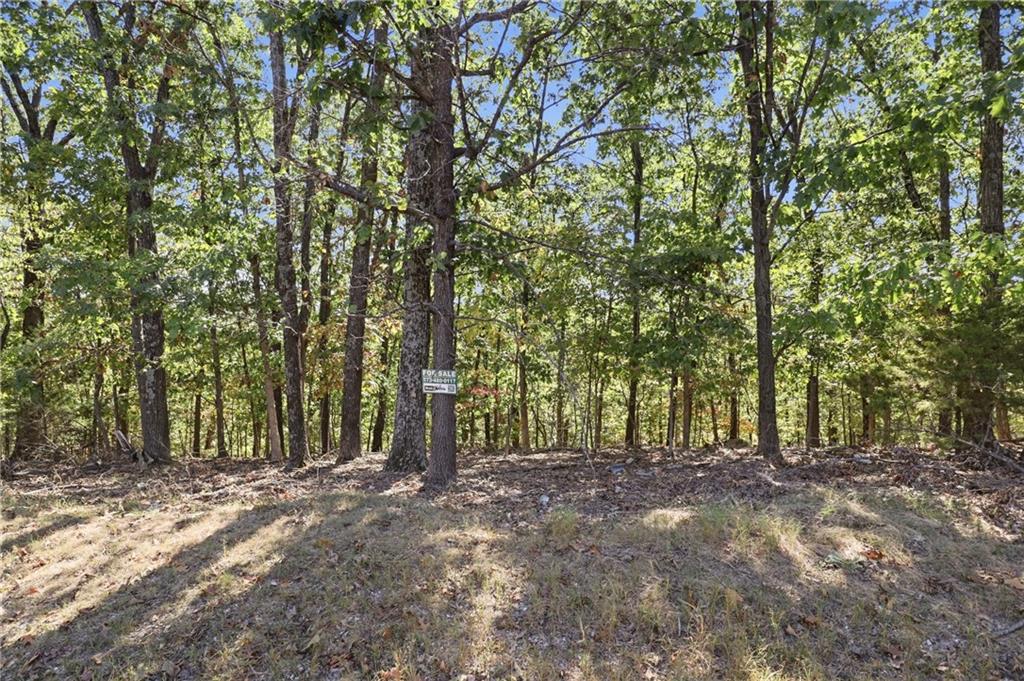 Lot 156 Carol Road Property Photo 11