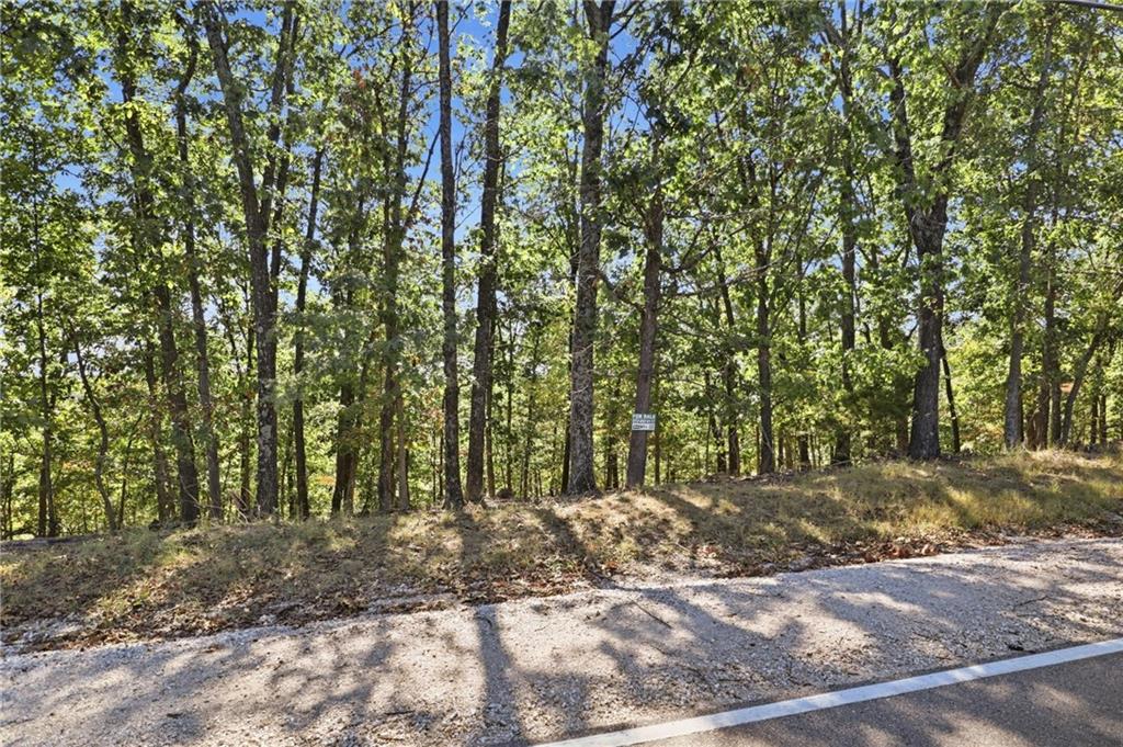 Lot 156 Carol Road Property Photo 12