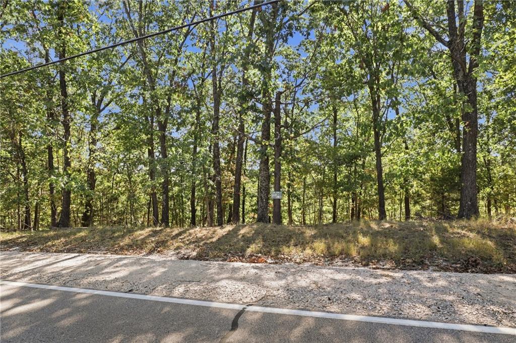 Lot 156 Carol Road Property Photo 13
