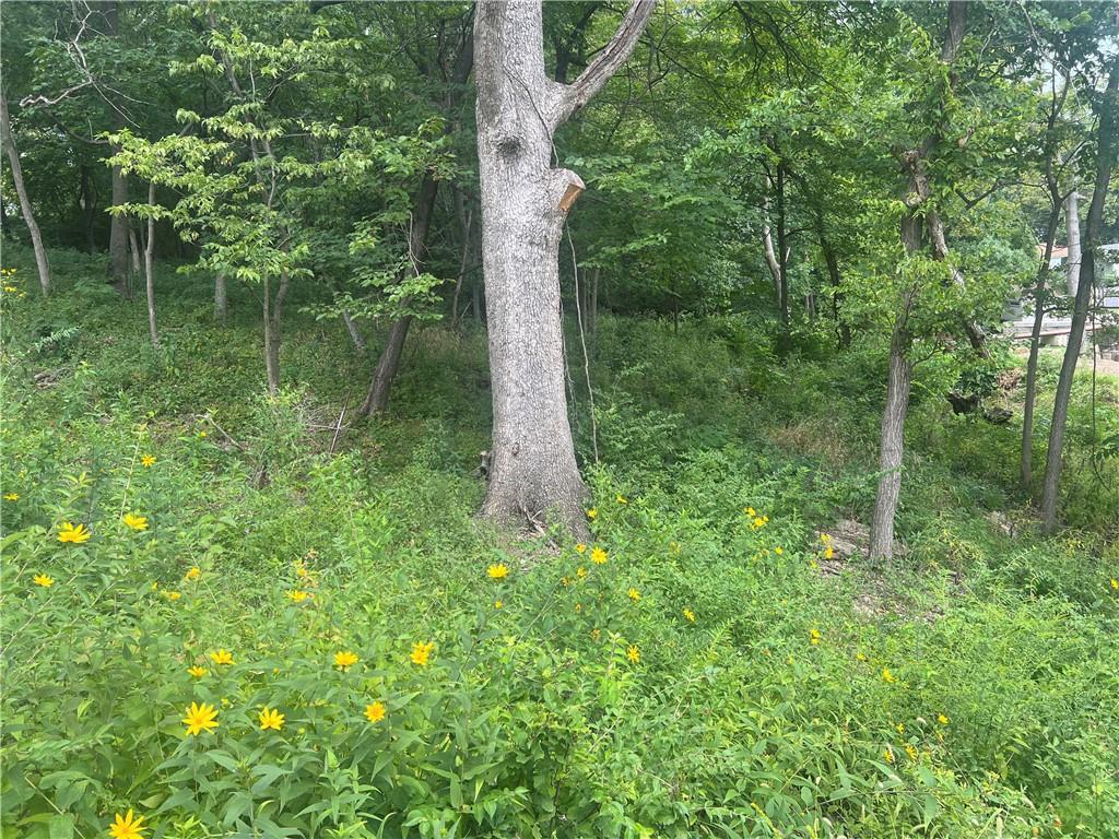 11806 E Lexington Avenue Property Photo 5