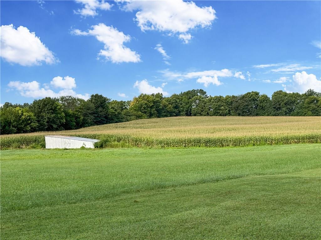 5555 Kinnamon Road Property Photo 5