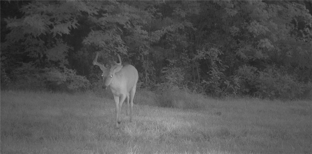 3027 Dade School Road Property Photo 52