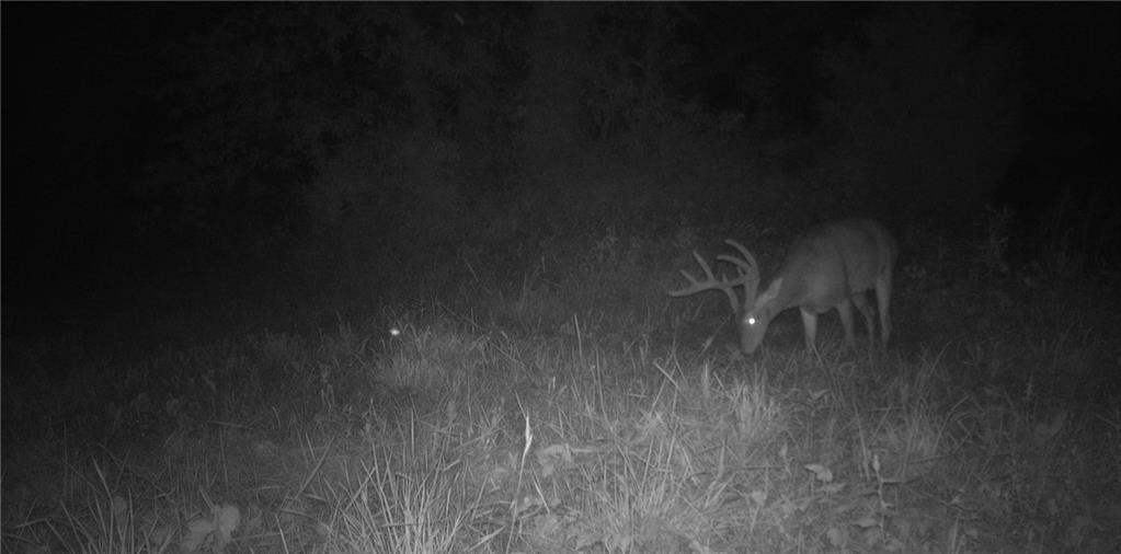 3027 Dade School Road Property Photo 60