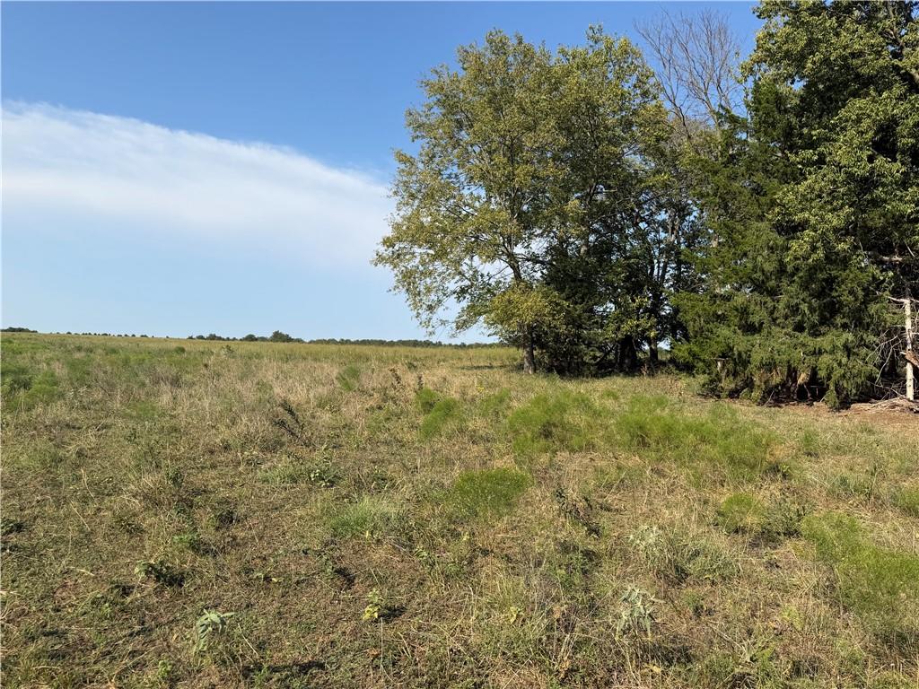 800 Road Property Photo 6