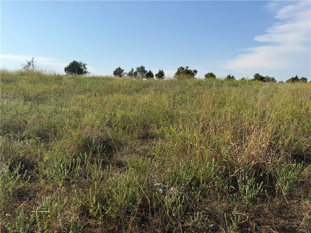 800 Road Property Photo 11