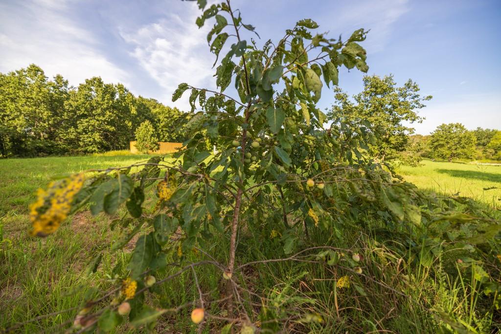 1085 Nw 501 Road Property Photo 43