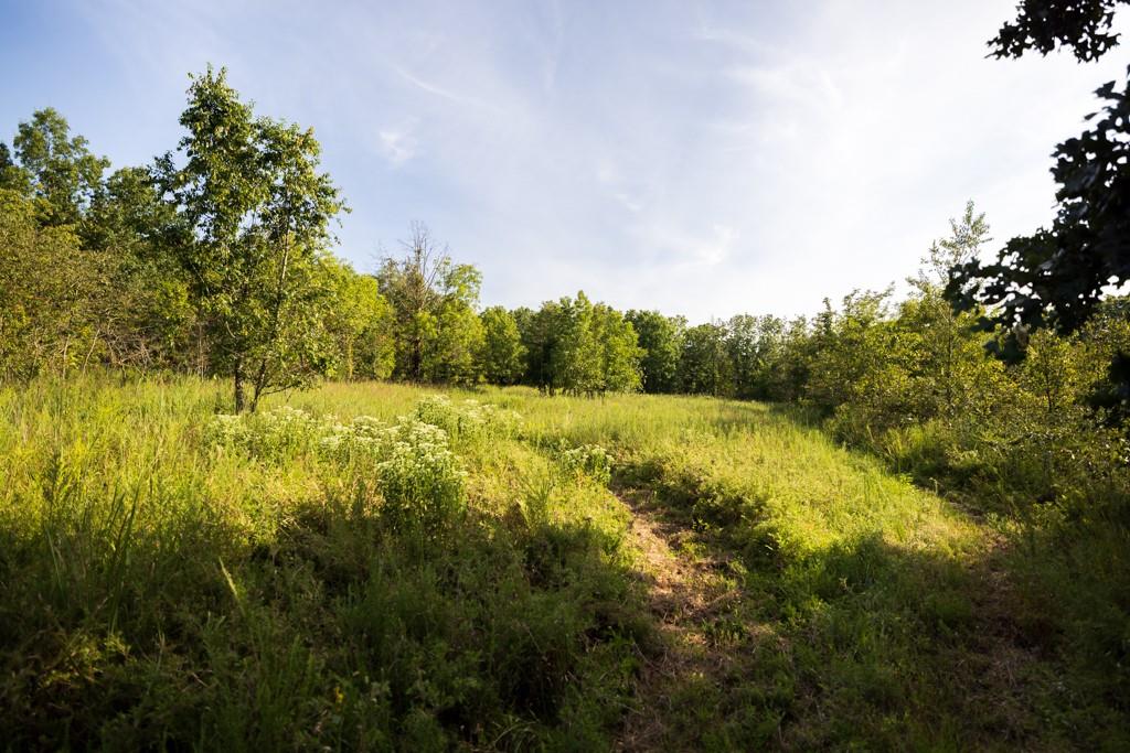 1085 Nw 501 Road Property Photo 46