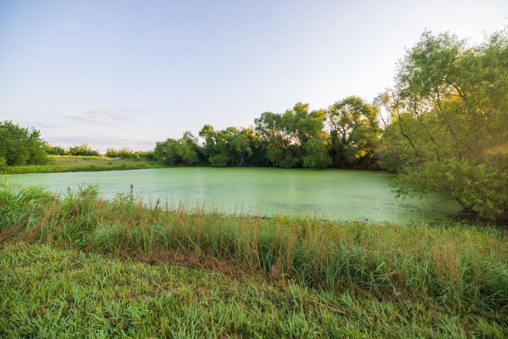 14769 Ne State Route E Highway Property Photo 66