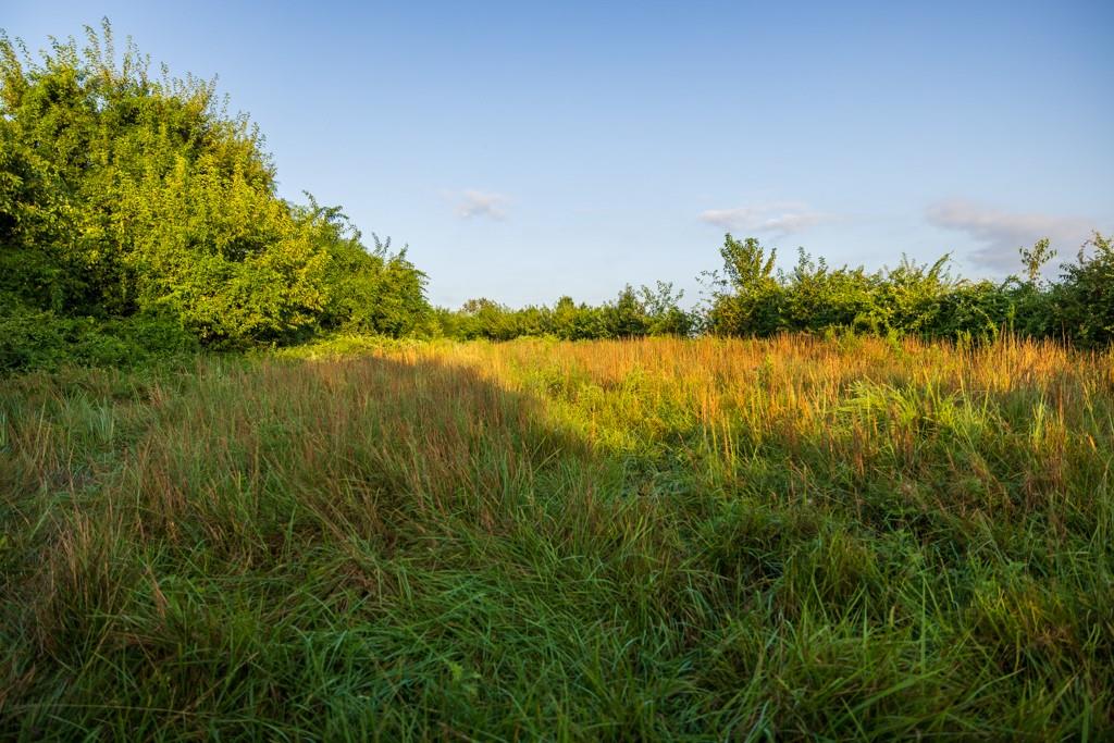 14769 Ne State Route E Highway Property Photo 67
