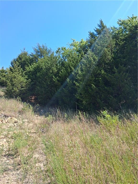 Highway 75 Highway Property Photo 3