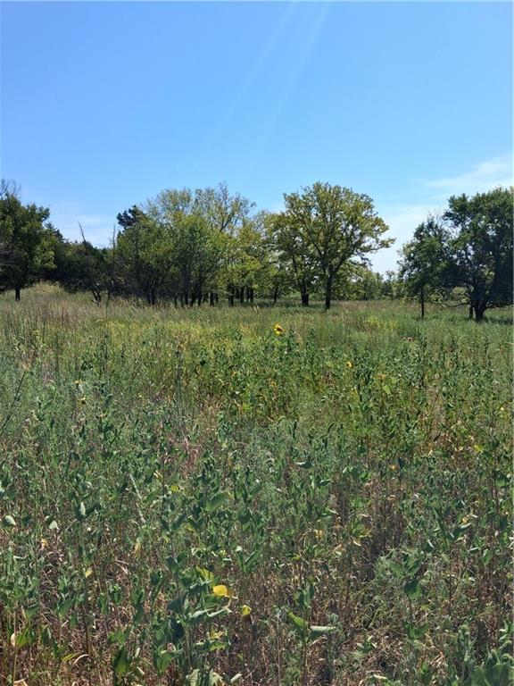 Highway 75 Highway Property Photo 4