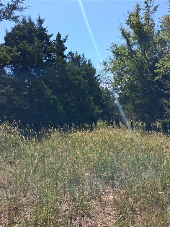 Highway 75 Highway Property Photo 6