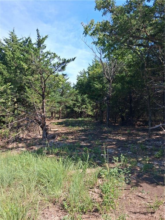 Highway 75 Highway Property Photo 7