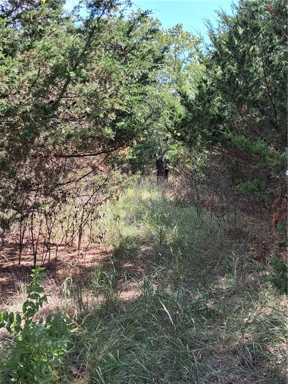 Highway 75 Highway Property Photo 8