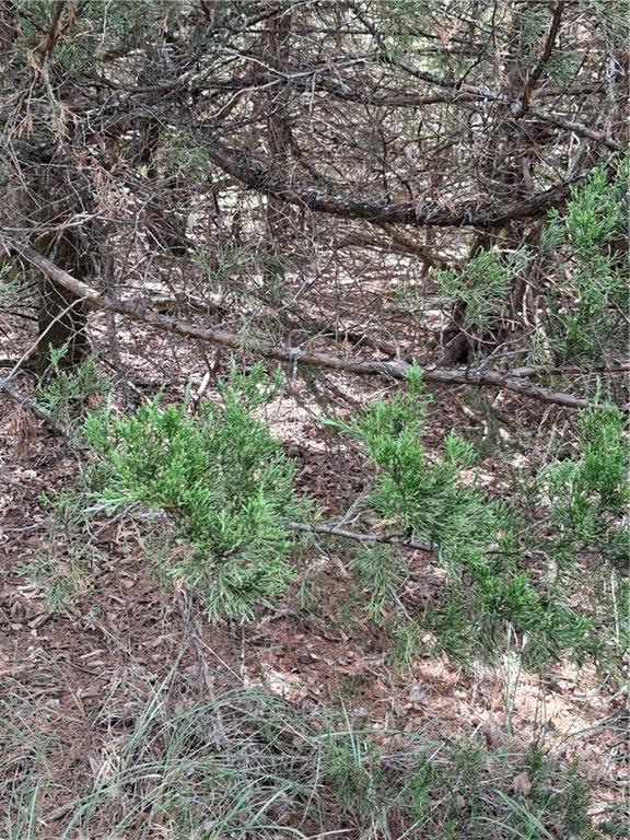 Highway 75 Highway Property Photo 9