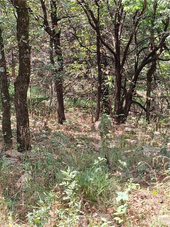 Highway 75 Highway Property Photo 10