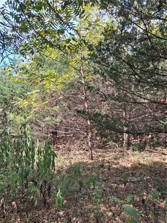Highway 75 Highway Property Photo 19