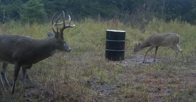 Highway 75 Highway Property Photo 22