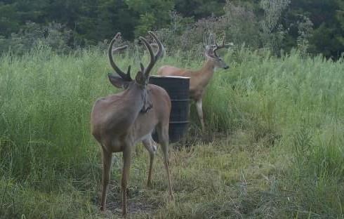 Highway 75 Highway Property Photo 23