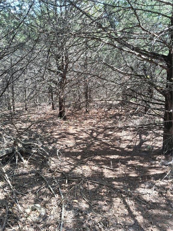 Highway 75 Highway Property Photo 26