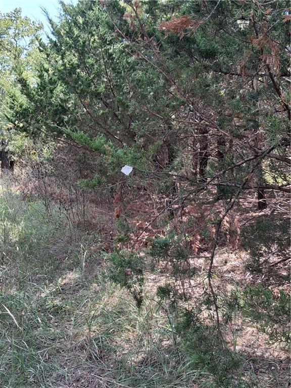 Highway 75 Highway Property Photo 28