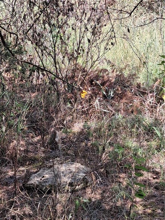 Highway 75 Highway Property Photo 32