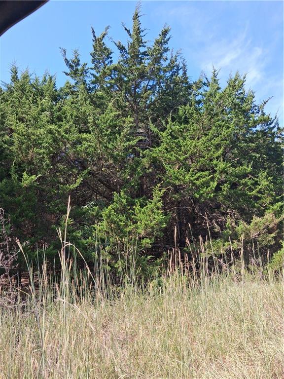 Highway 75 Highway Property Photo 33