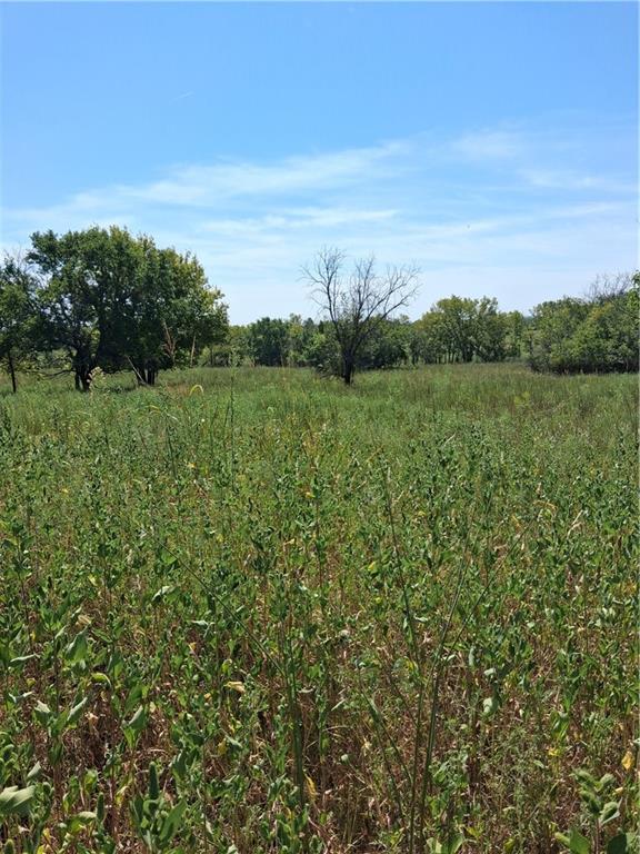 Highway 75 Highway Property Photo 38