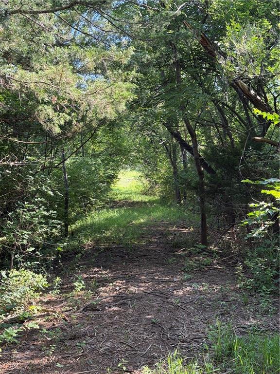 5781 Cecil Drive Property Photo 4