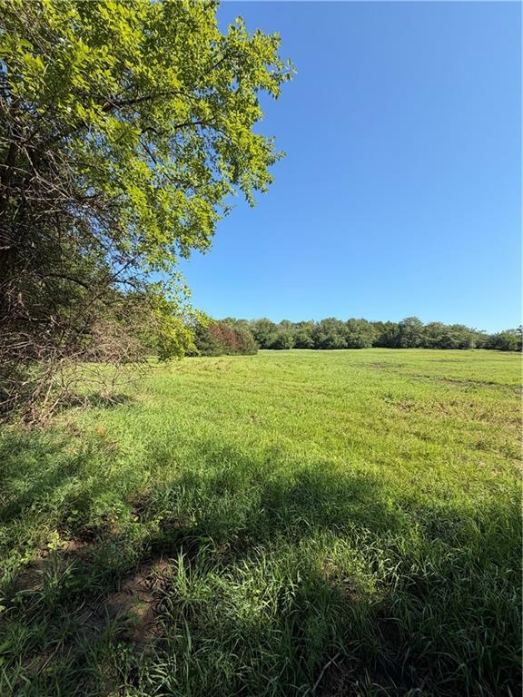 5781 Cecil Drive Property Photo 10
