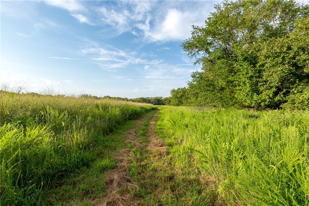 27699 S Hoch Road Property Photo 38