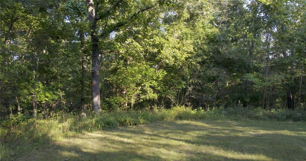 0 Ritchie Lane Property Photo 7