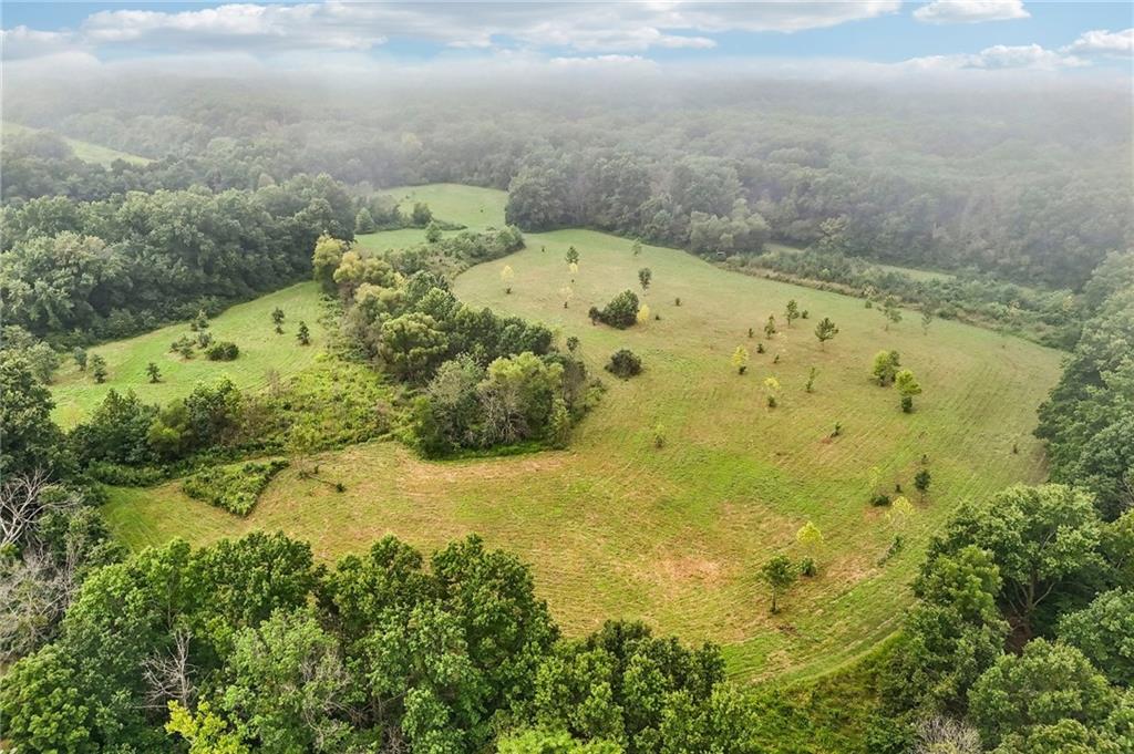 Tbd Campbell Road Property Photo 1