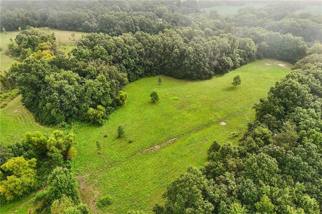 Tbd Campbell Road Property Photo 16
