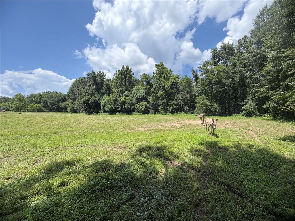Tbd Campbell Road Property Photo 37
