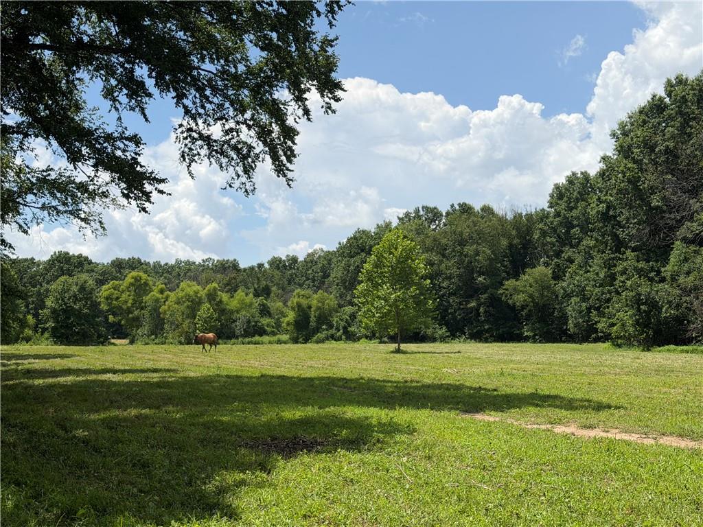 Tbd Campbell Road Property Photo 40