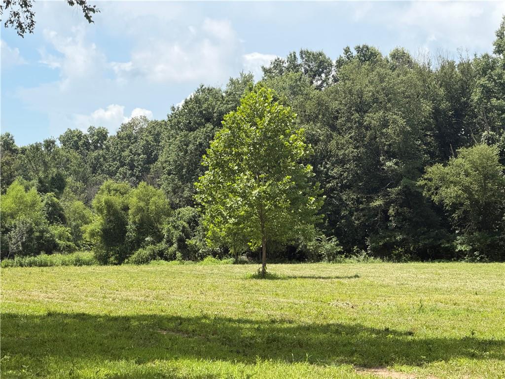 Tbd Campbell Road Property Photo 41