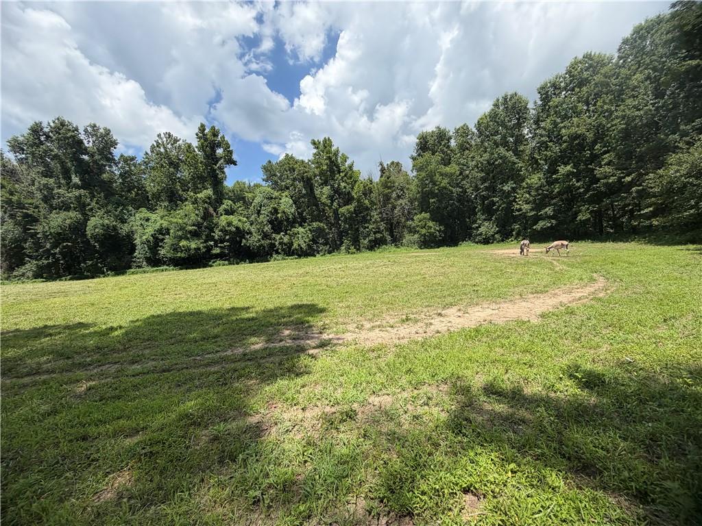Tbd Campbell Road Property Photo 42