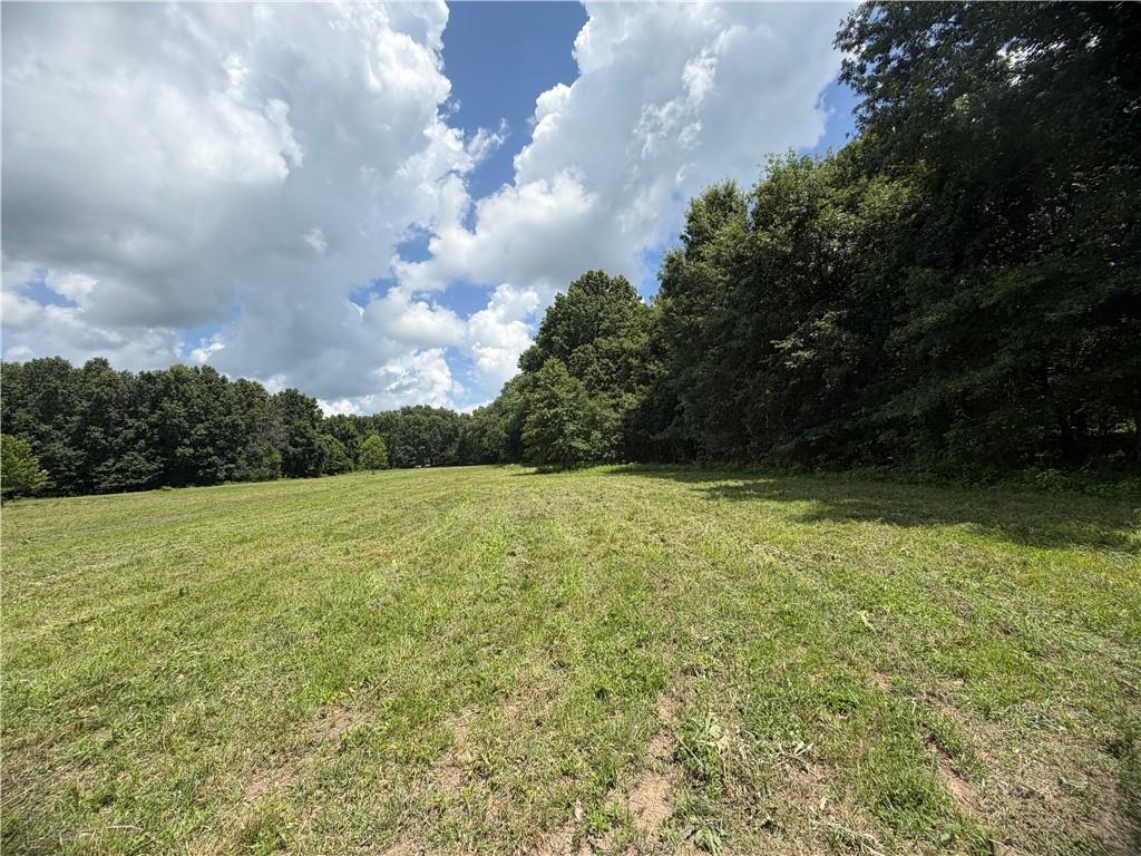 Tbd Campbell Road Property Photo 45