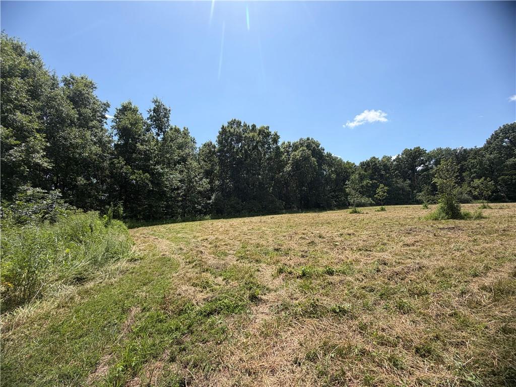 Tbd Campbell Road Property Photo 47