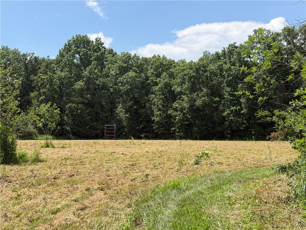 Tbd Campbell Road Property Photo 48