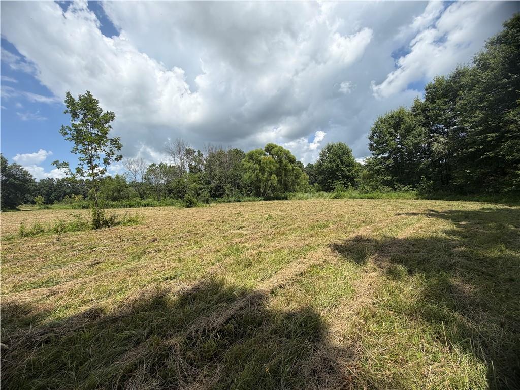 Tbd Campbell Road Property Photo 49